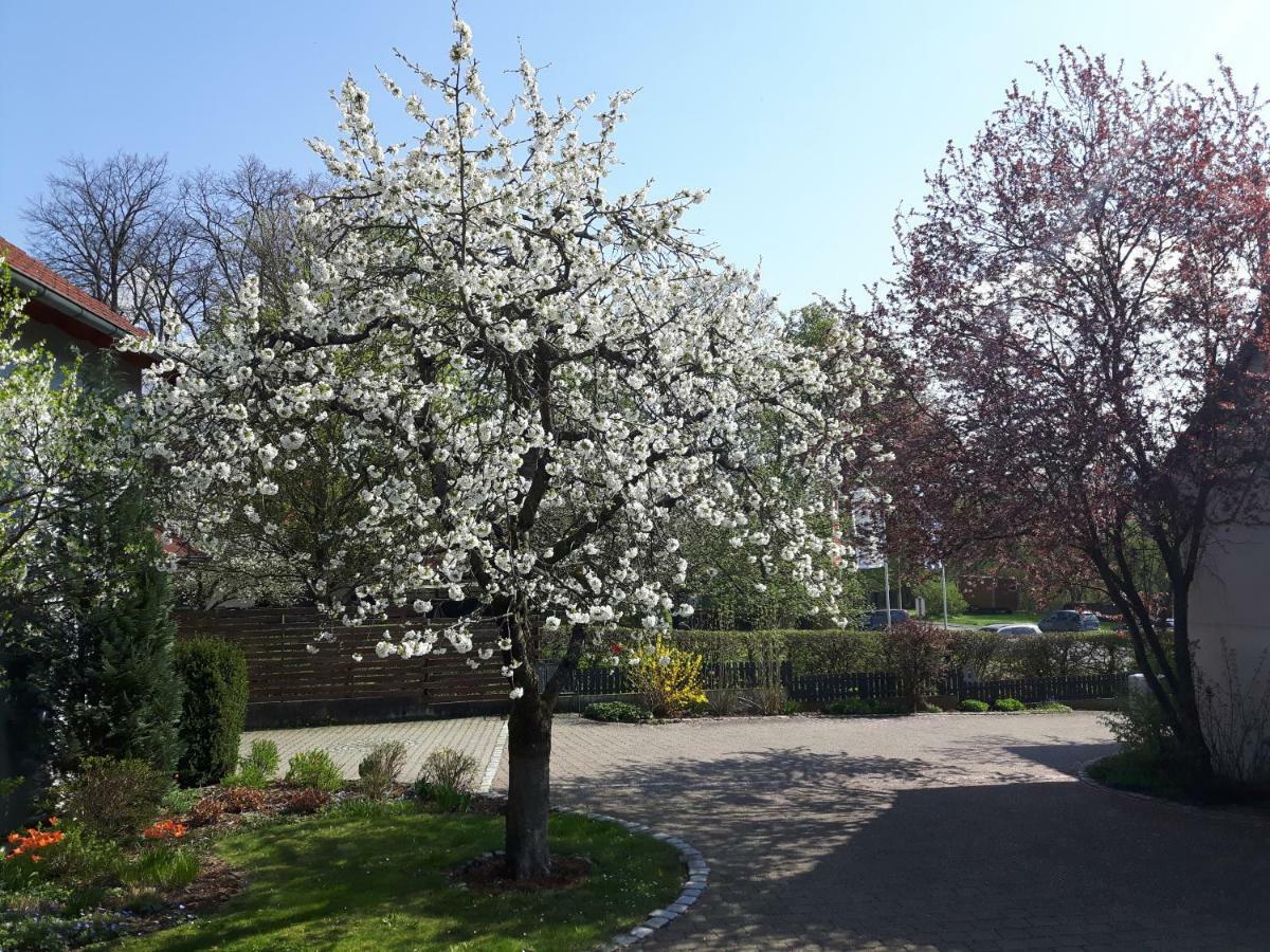 Ferienwohnung Der Kirschbaumhof Strullendorf Exterior foto
